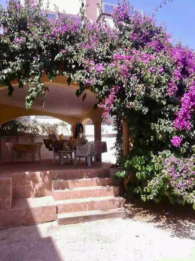 House 320m² in Montenegro, Utjeha. Priced at 230000€ rent photo-8