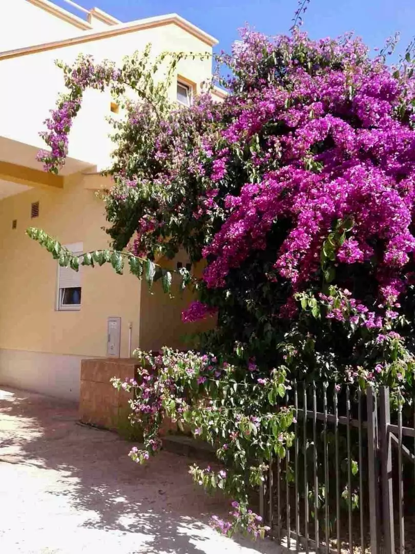 House 320m² in Montenegro, Utjeha. Priced at 230000€ rent photo-15