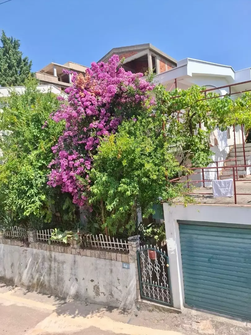 House 115m² in Montenegro, Dobra Voda. Priced at 150000€ rent photo-9