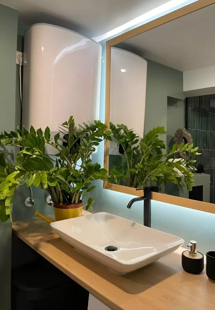 Flat 24m² in Montenegro, Herceg Novi. Priced at 75000€ rent photo-11