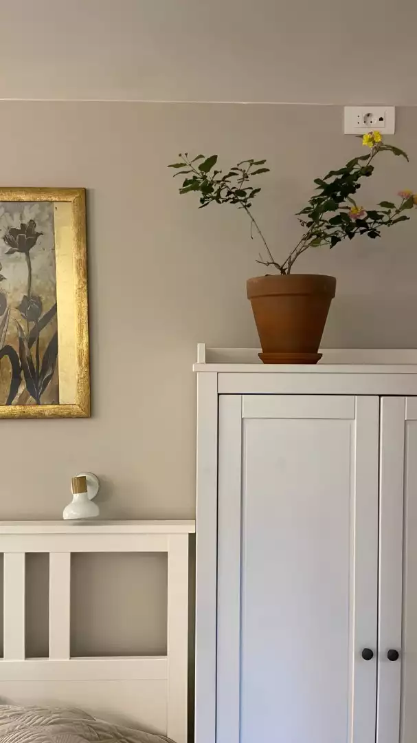 Flat 24m² in Montenegro, Herceg Novi. Priced at 75000€ rent photo-18
