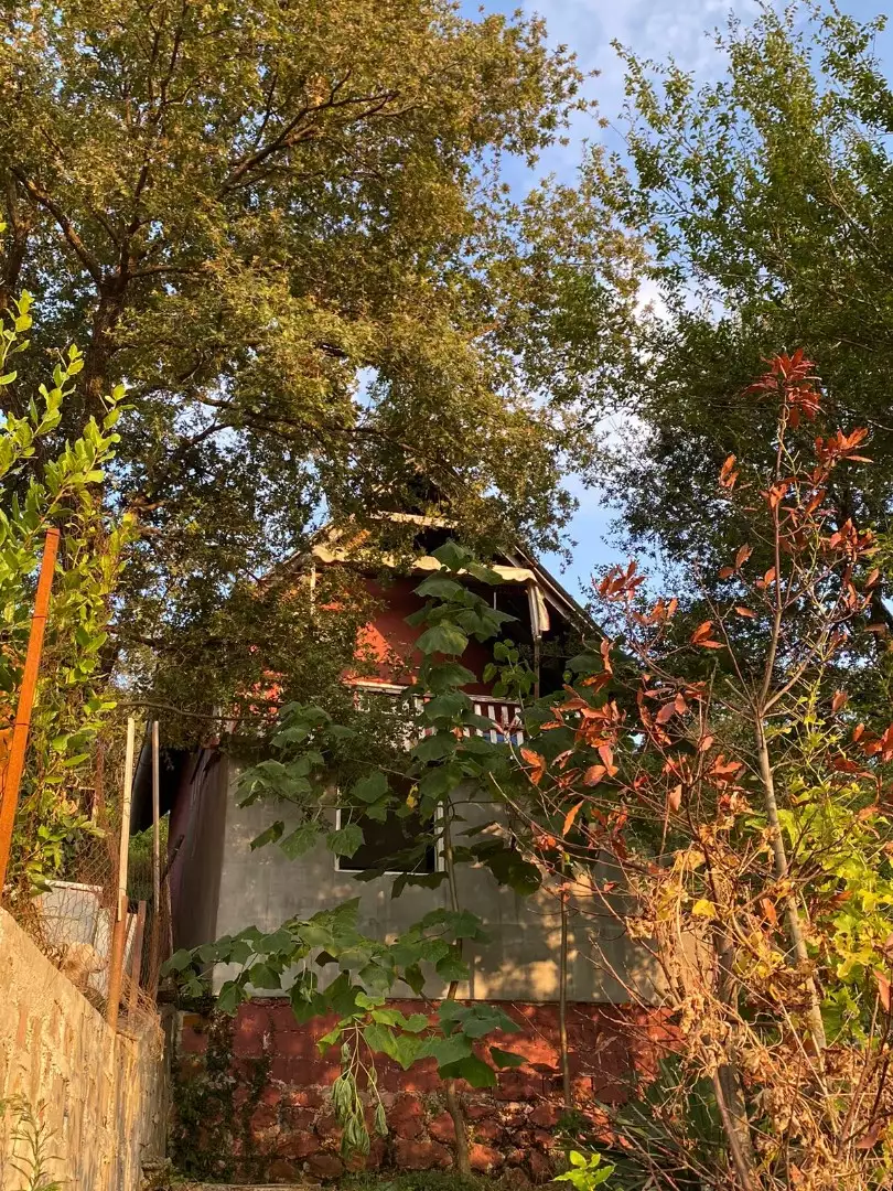 House 36m² in Montenegro, Can. Priced at 39000€ rent photo-1