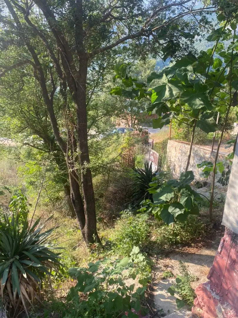 House 36m² in Montenegro, Can. Priced at 39000€ rent photo-7