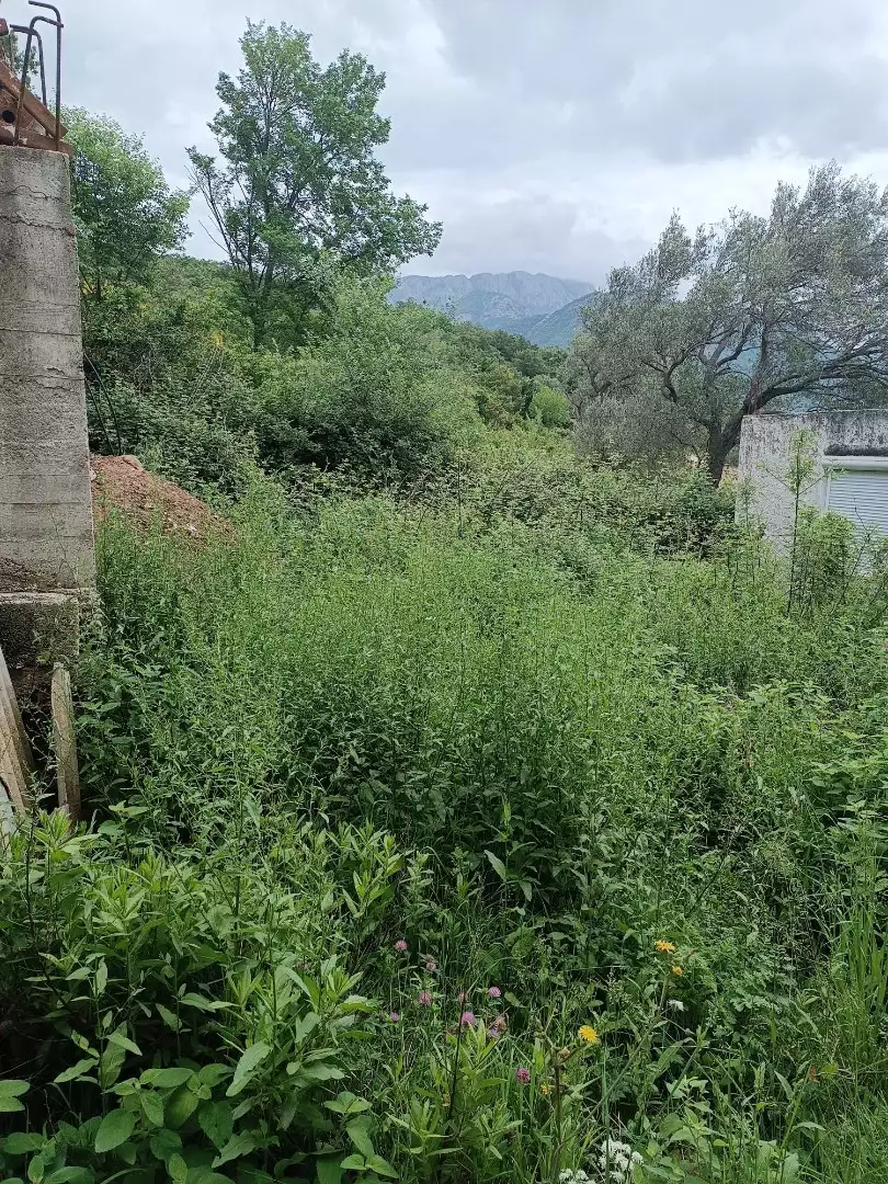 House 78m² in Montenegro, Bar. Priced at 78000€ rent photo-3