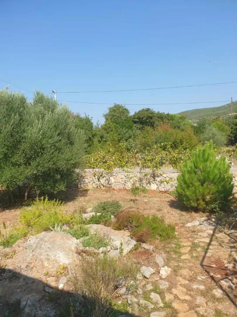 House 94m² in Montenegro, Budva. Priced at 369000€ rent photo-22