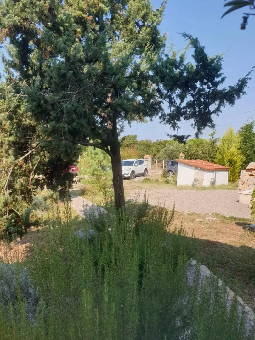 House 94m² in Montenegro, Budva. Priced at 369000€ rent photo-34