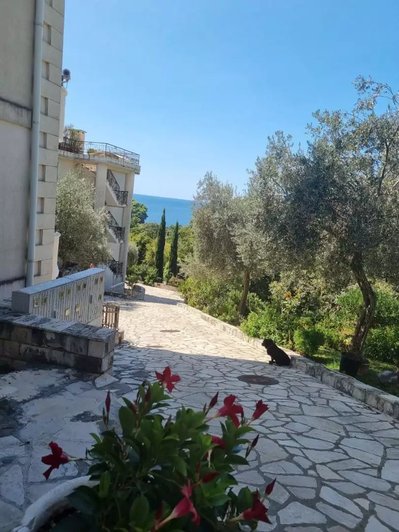 Flat 86m² in Montenegro, Petrovac. Priced at 240000€ rent photo-13