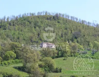 Buy in Italy for 1600000€