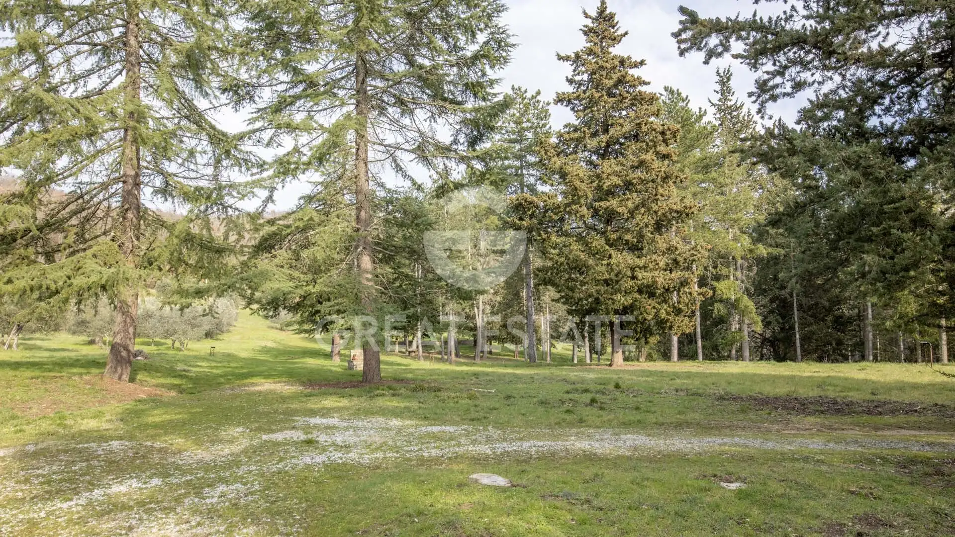 House 624m² in Italy, Terney. Priced at 875000€ rent photo-8
