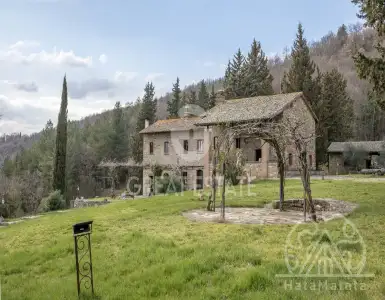 Buy in Italy for 875000€