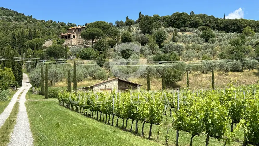 House 440m² in Italy, Arezzo. Priced at 1150000€ rent photo-7
