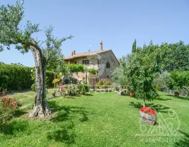 Buy in Italy for 500000€