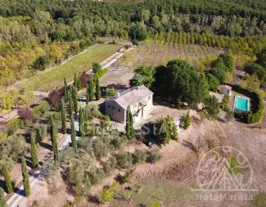 Buy in Italy for 1550000€