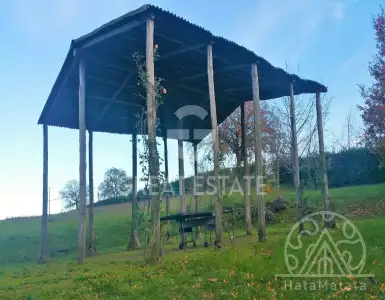 Buy in Italy for 1650000€