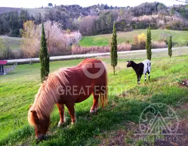 Buy in Italy for 2000000€