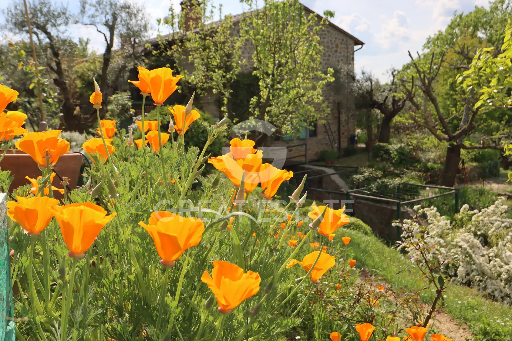House 466m² in Italy, Perugia. Priced at 700000€ rent photo-1