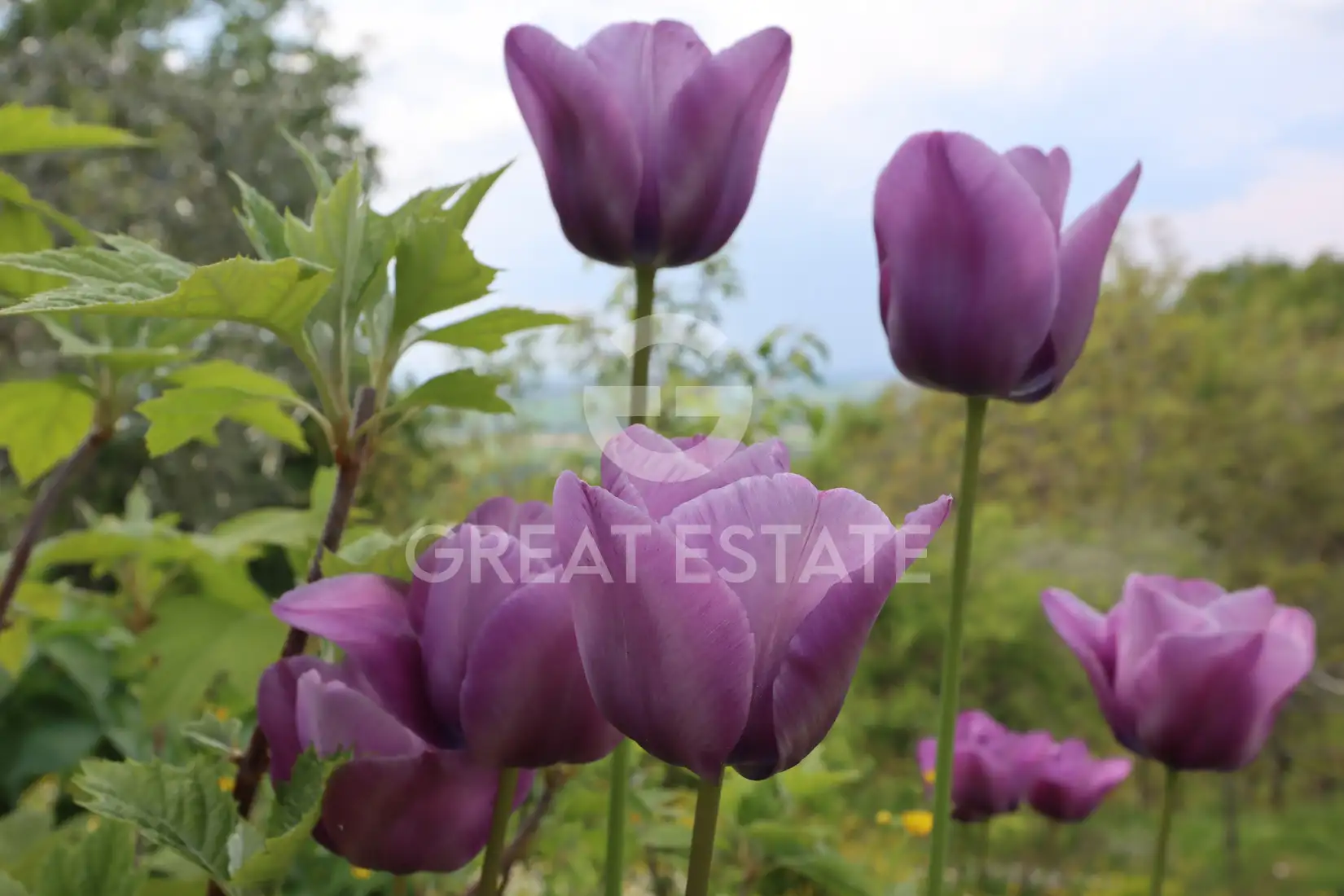 House 466m² in Italy, Perugia. Priced at 700000€ rent photo-11
