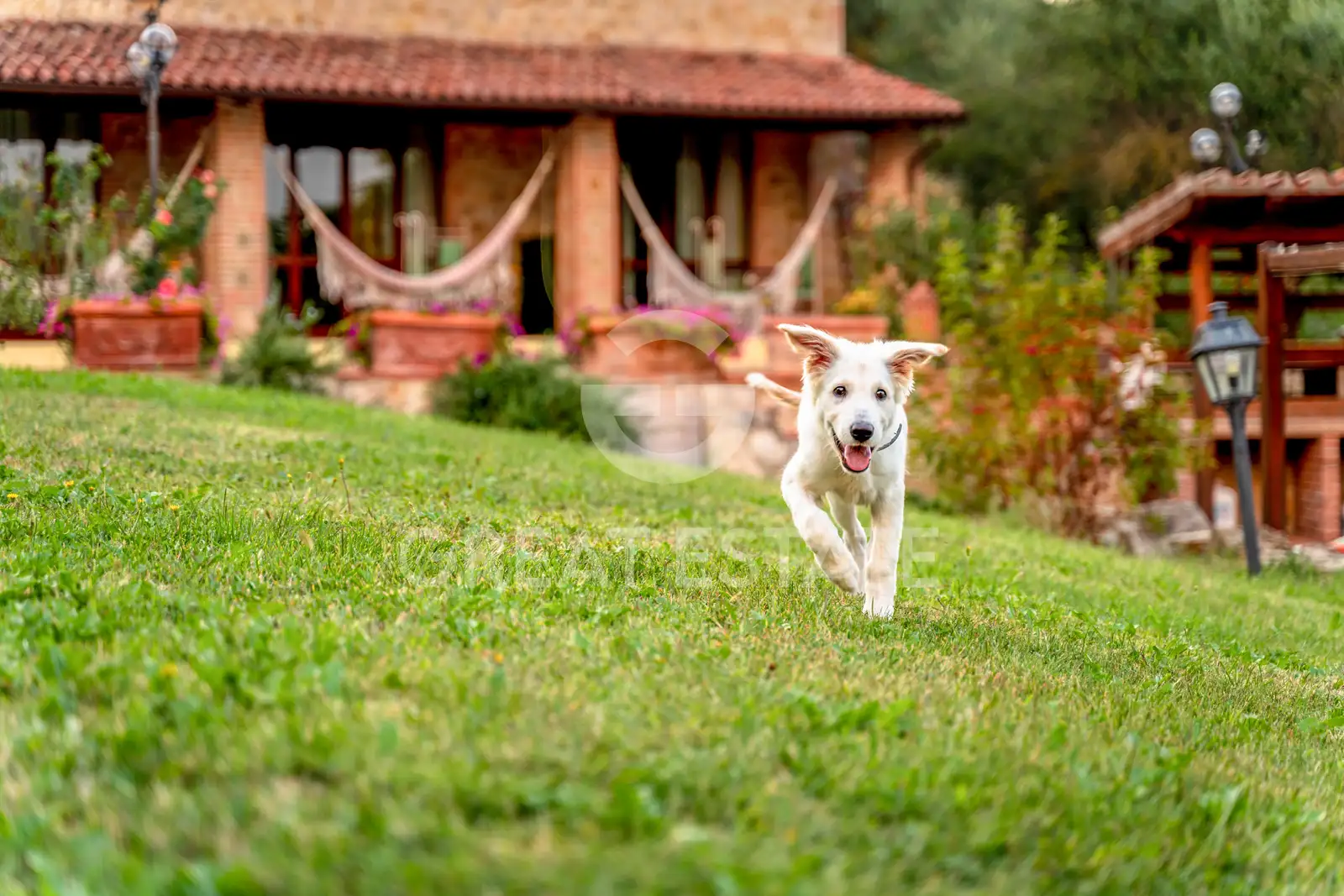 House 970m² in Italy, Perugia. Priced at 1490000€ rent photo-14