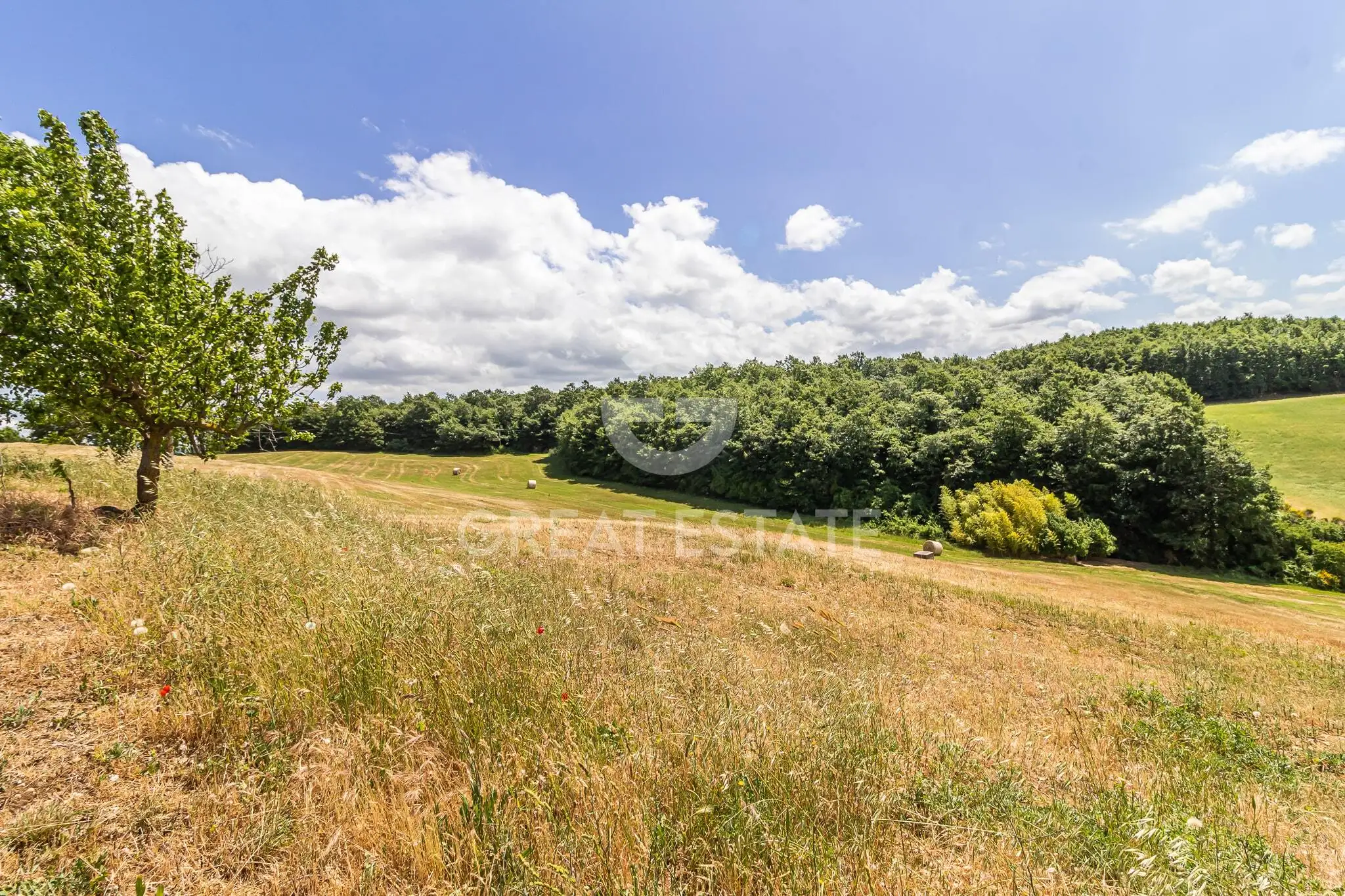 House 380m² in Italy, Viterbo. Priced at 540000€ rent photo-7