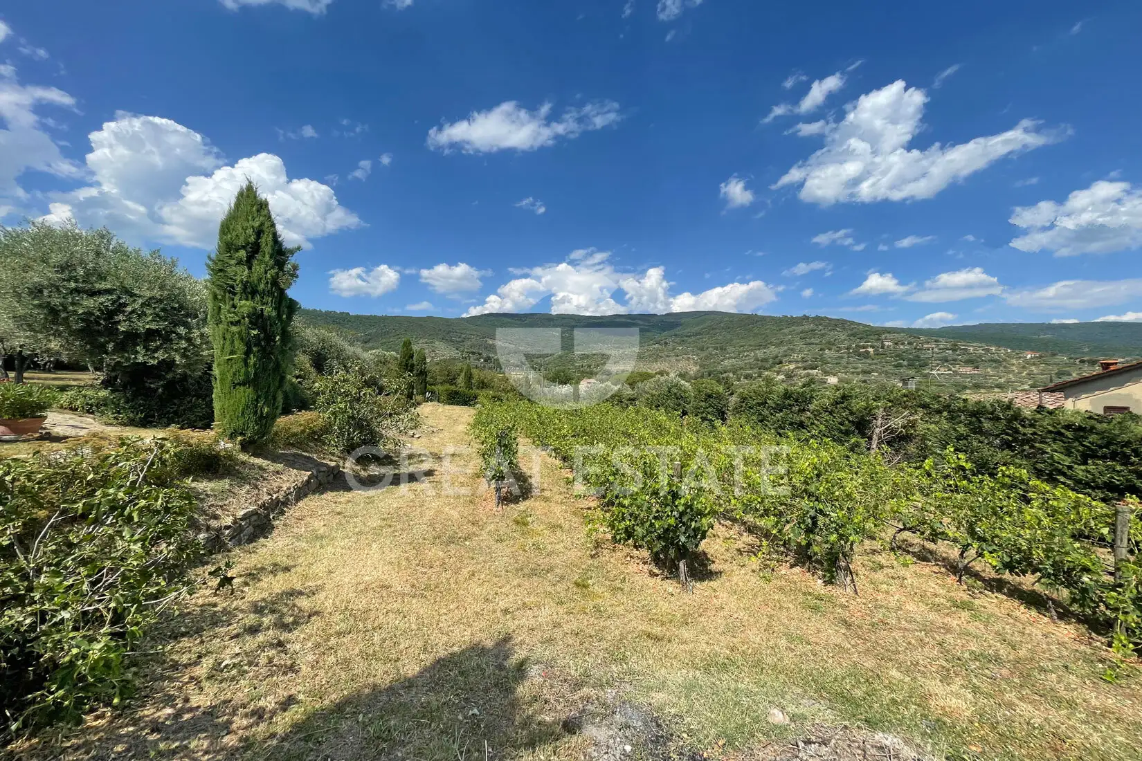 House 345m² in Italy, Arezzo. Priced at 1400000€ rent photo-8