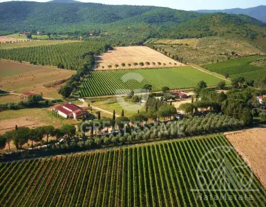 Buy in Italy for 3000000€