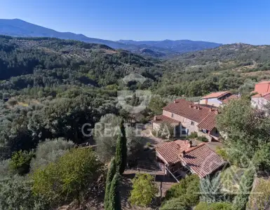 Buy in Italy for 790000€