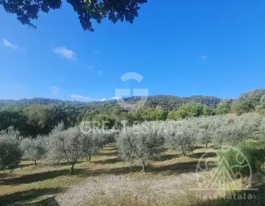 Buy in Italy for 650000€