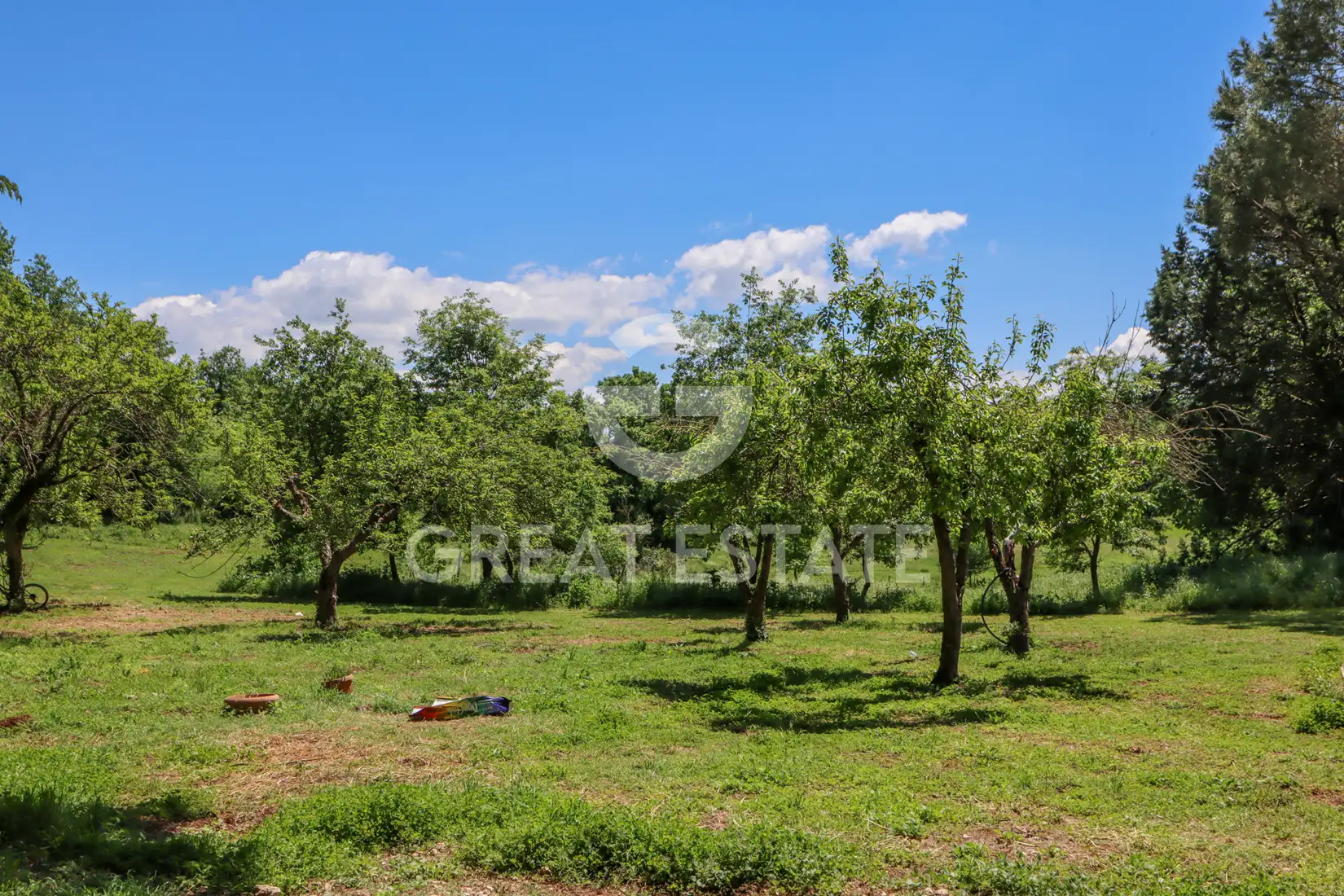 Villa 2980m² in Italy, Terney. Priced at 1550000€ rent photo-15