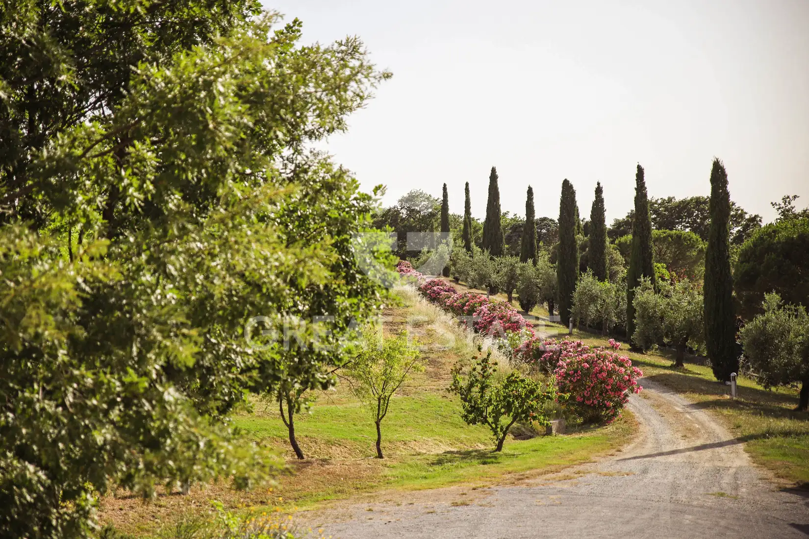 House 460m² in Italy, Grosseto. Priced at 750000€ rent photo-9