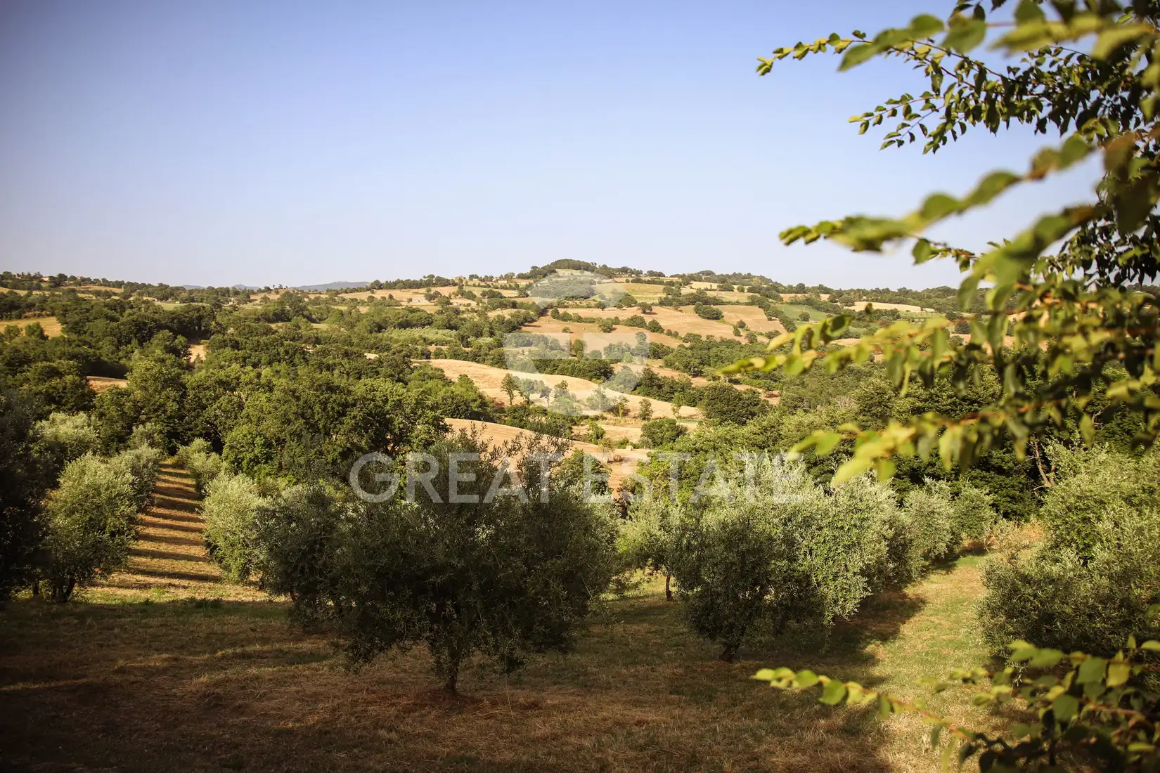 House 460m² in Italy, Grosseto. Priced at 750000€ rent photo-15