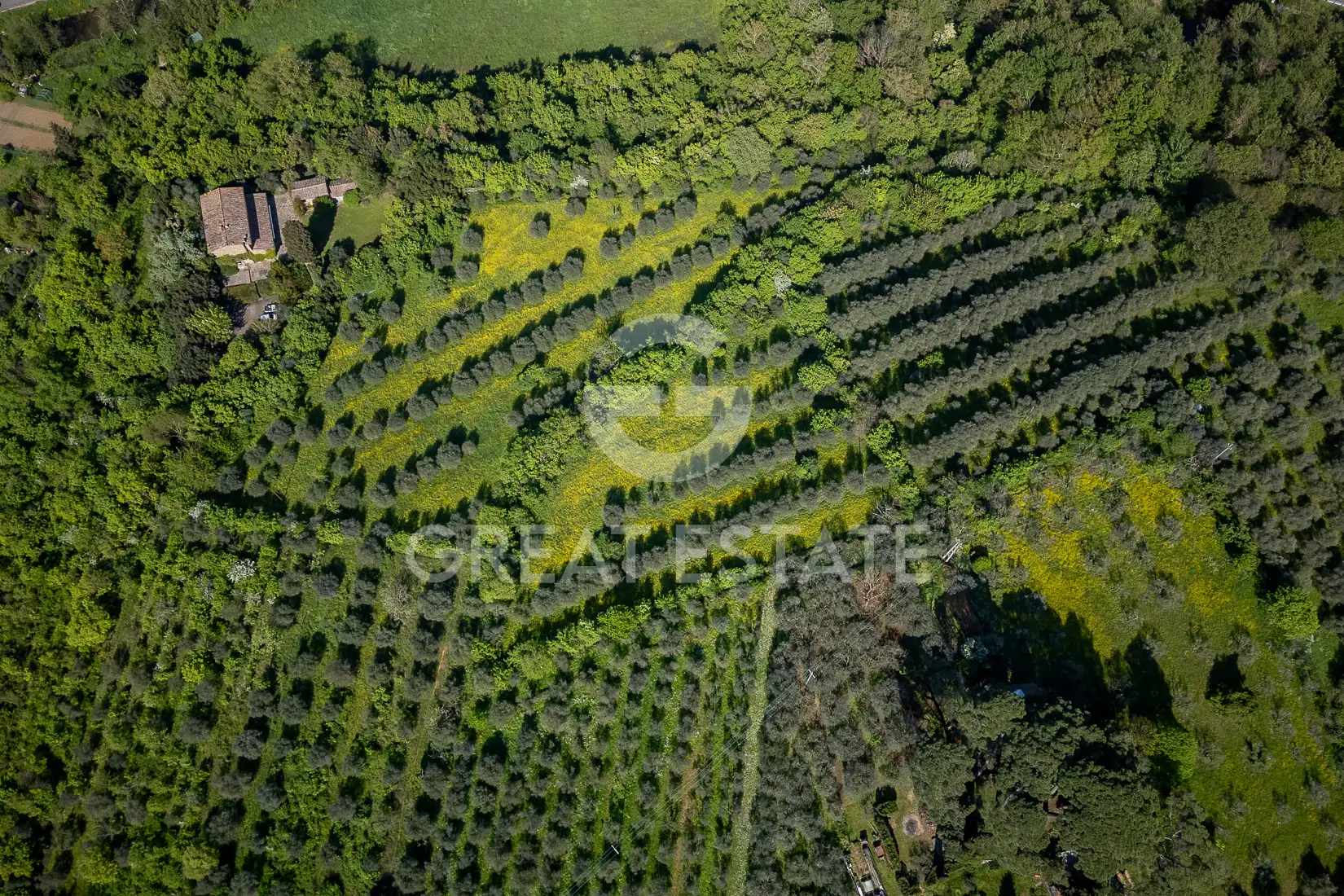 House 483m² in Italy, Florence. Priced at 2750000€ rent photo-13