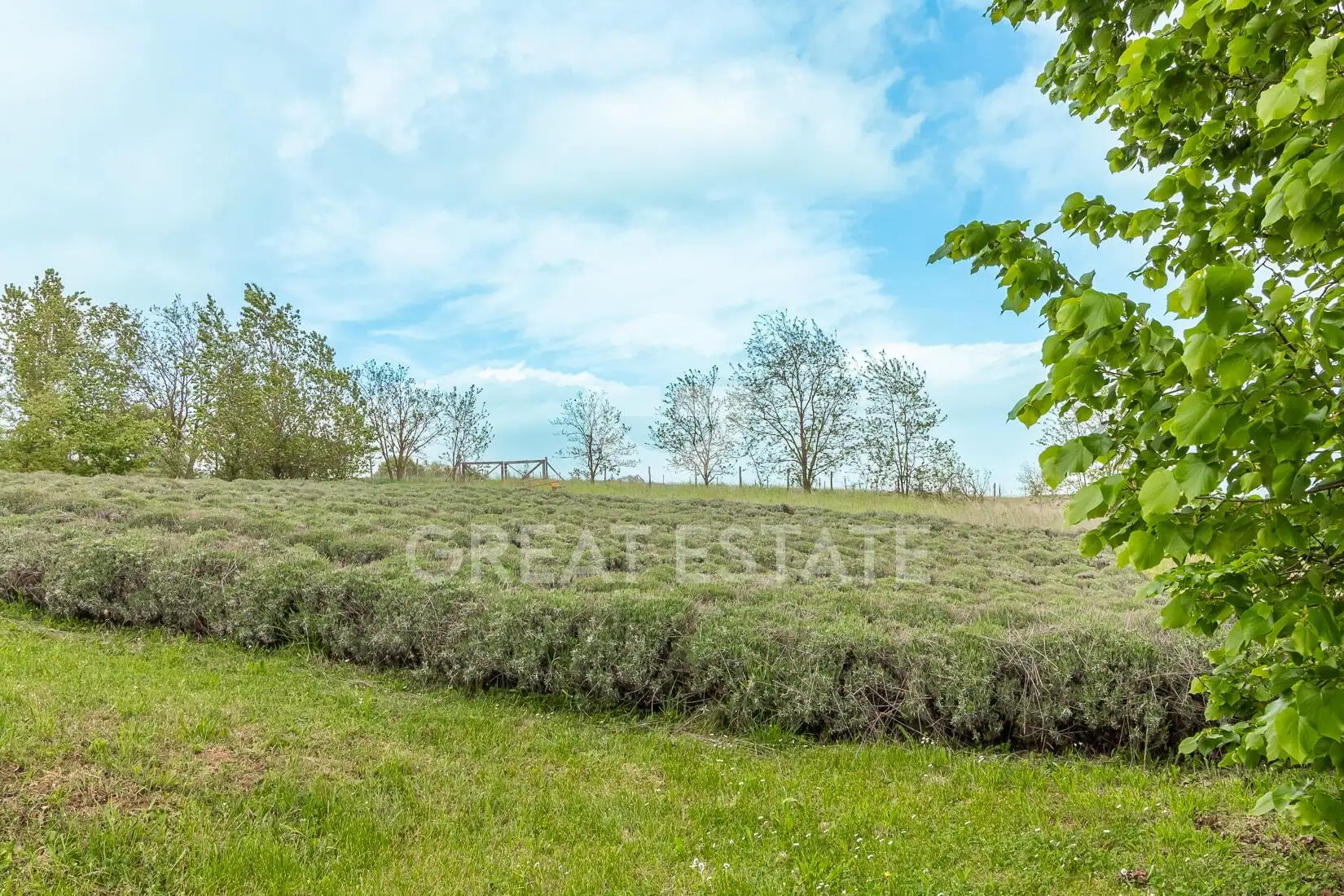 House 619m² in Italy, Terney. Priced at 890000€ rent photo-14