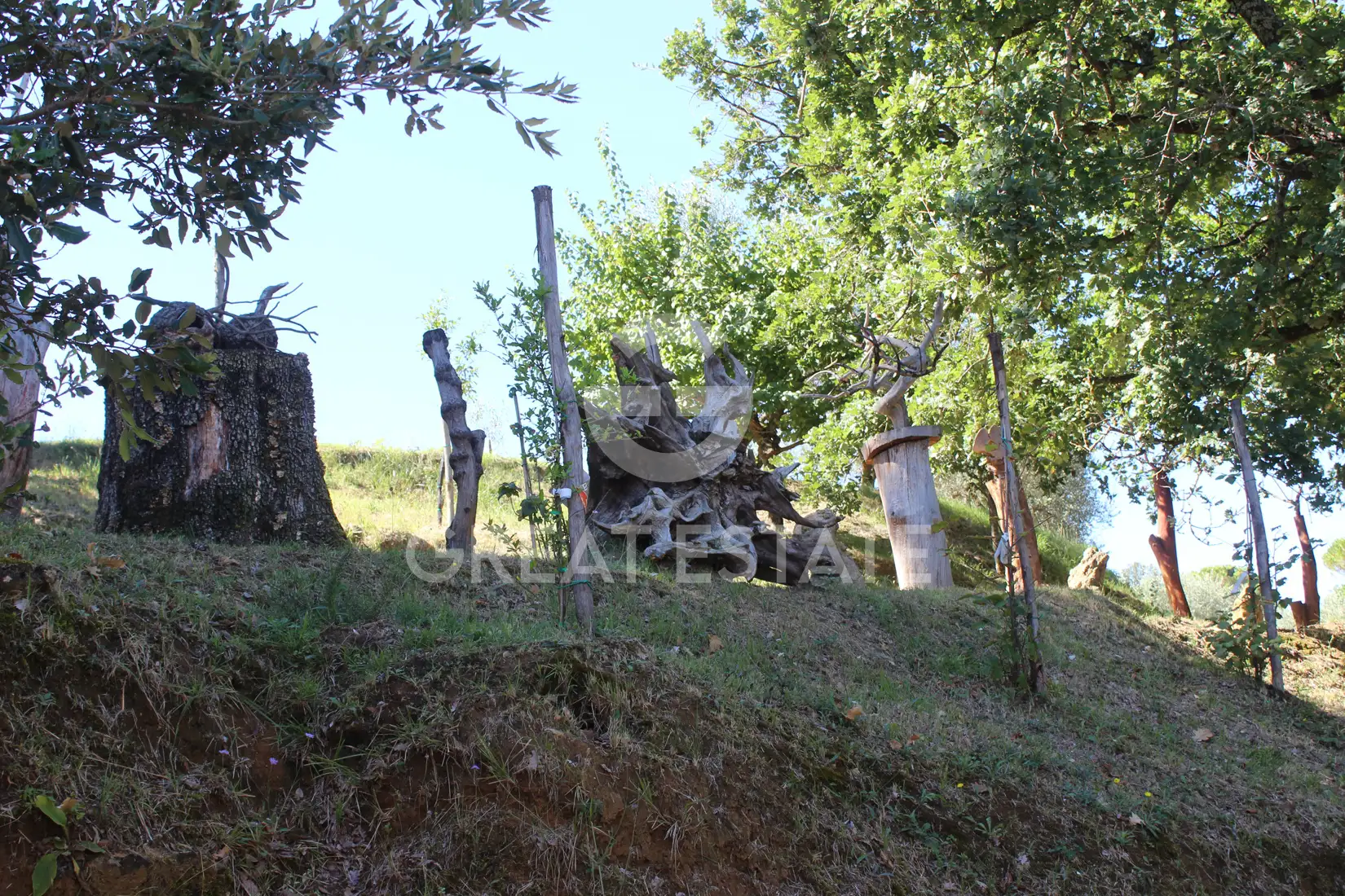 House 401m² in Italy, Siena. Priced at 500000€ rent photo-13