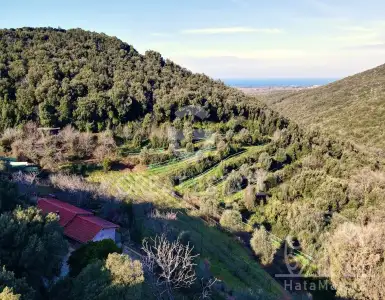 Buy in Italy for 950000€