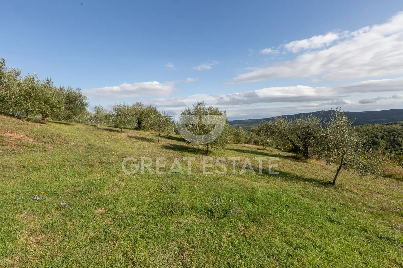 House 758m² in Italy, Perugia. Priced at 2590000€ rent photo-15