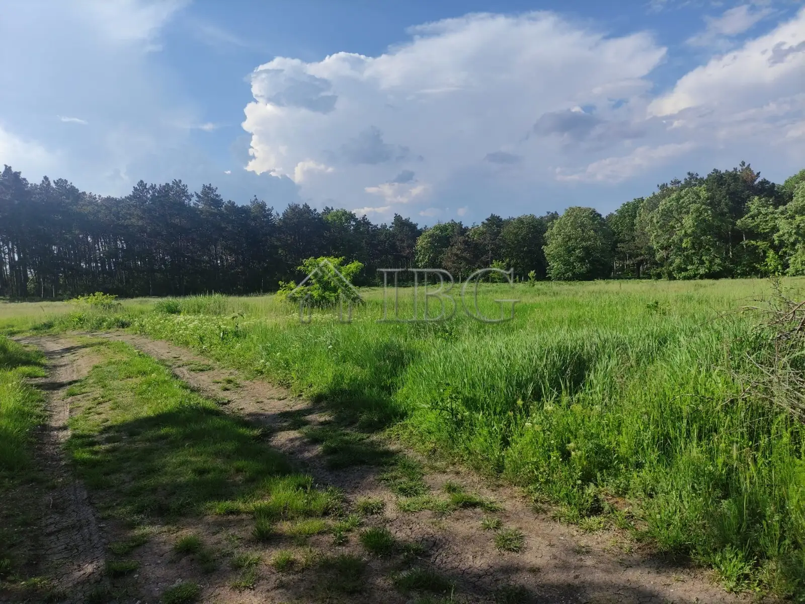 Land 1392m² in Bulgaria, Gurkovo. Priced at 19500€ rent photo-5