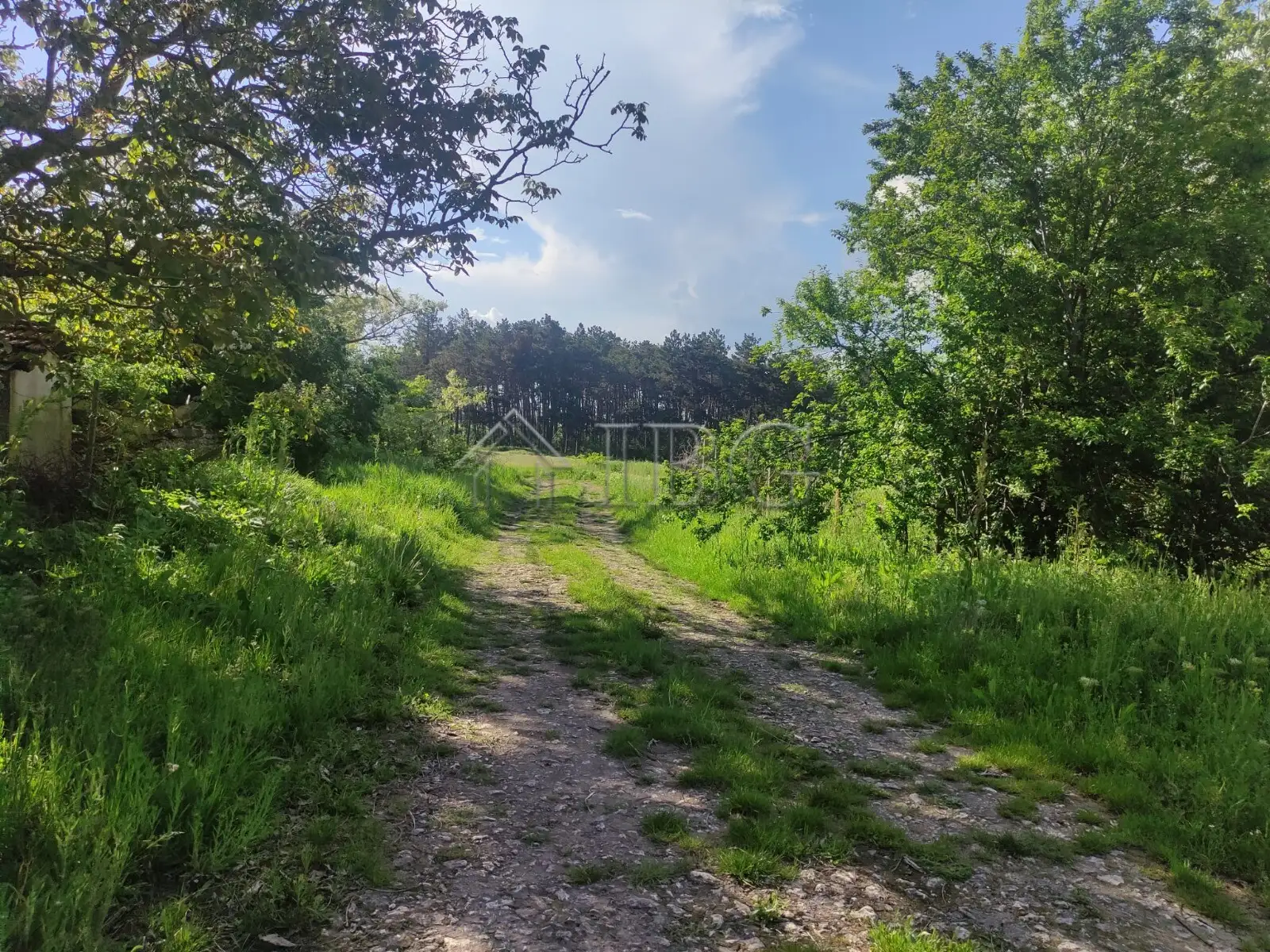 Land 1392m² in Bulgaria, Gurkovo. Priced at 19500€ rent photo-13