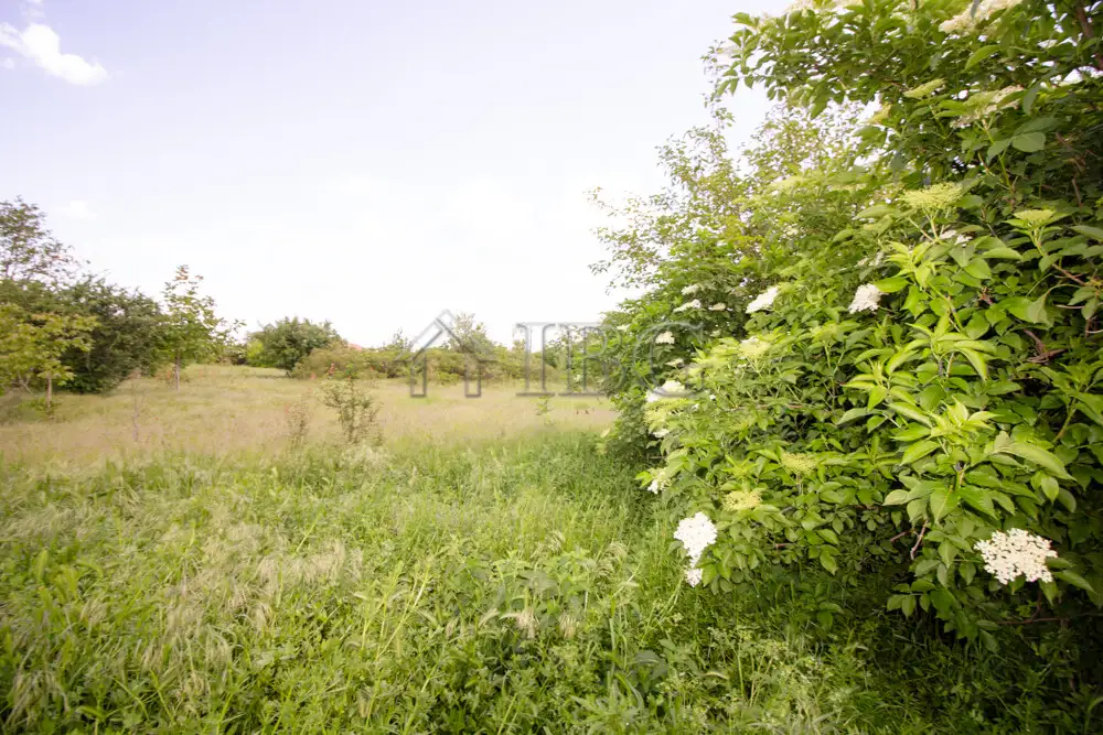 House 80m² in Bulgaria, Dobrich. Priced at 18500€ rent photo-20