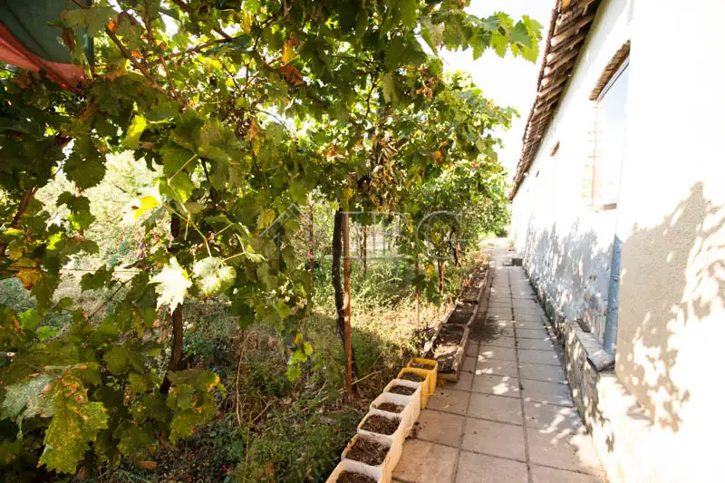 House 240m² in Bulgaria, Bazan. Priced at 140000€ rent photo-4