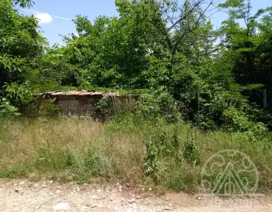 Buy in Bulgaria for 3000€