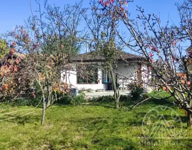Buy in Bulgaria for 158000€
