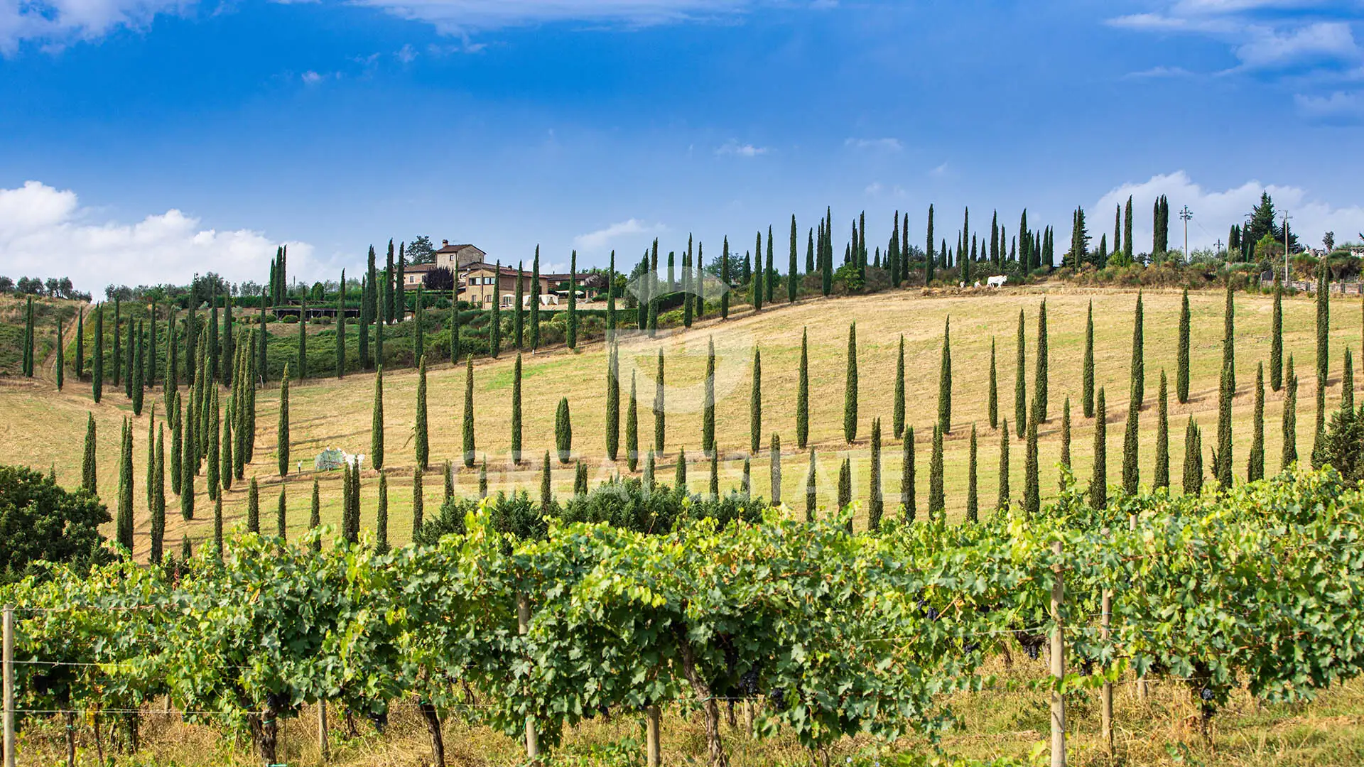 House 189m² in Italy, Siena. Priced at 950000€ rent photo-12