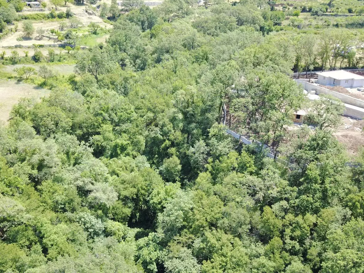 Land 1m² in Italy, Barga. Priced at 675000€ rent photo-19