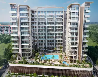 Buy in UAE for 675240$