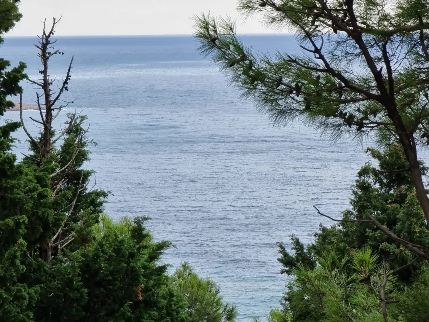 House 188m² in Montenegro, Bar. Priced at 275000€ rent photo-14