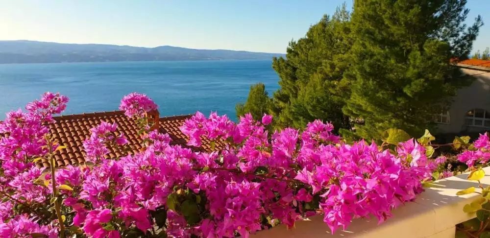 Hotels 291m² in Croatia, Omis. Priced at 529000€ rent photo-6