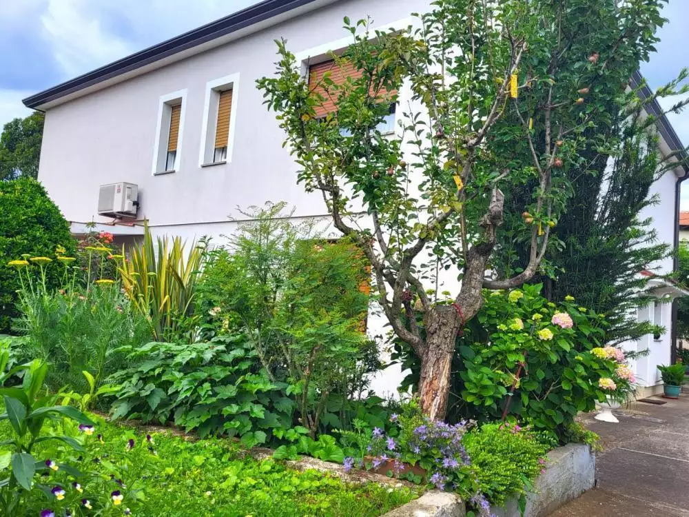 Hotels 277m² in Croatia, Umag. Priced at 540000€ rent photo-5