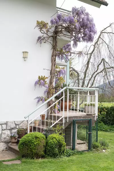 House 457m² in Slovenia, Bled. Priced at 1390000€ rent photo-39