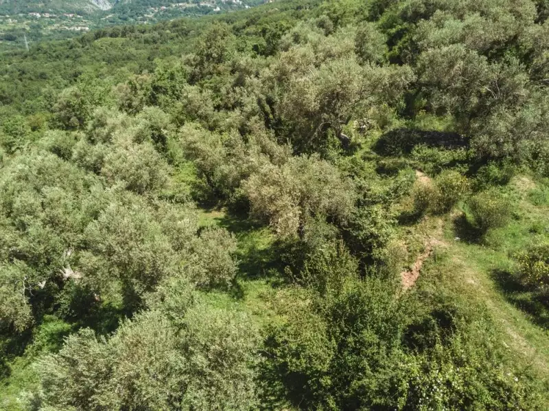 Land 1m² in Italy, Barga. Priced at 570000€ rent photo-24