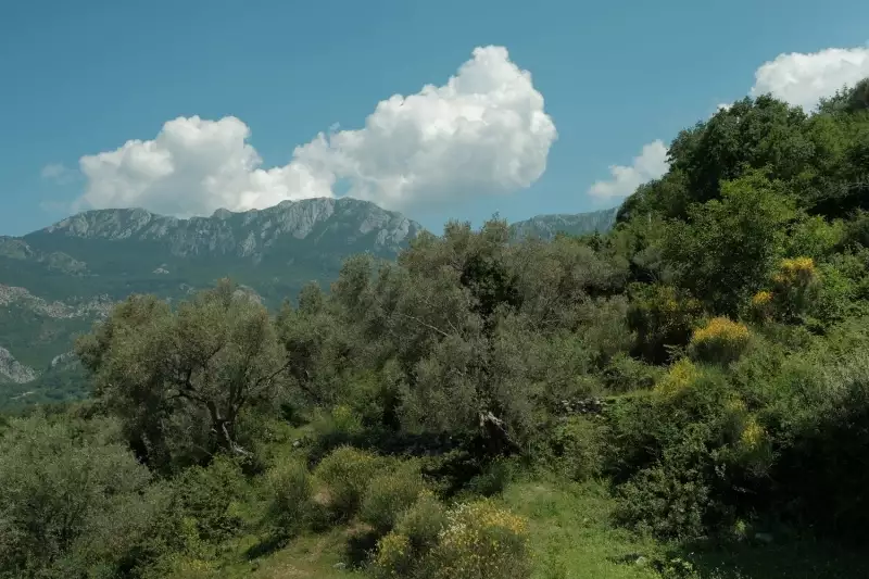 Land 1m² in Italy, Barga. Priced at 570000€ rent photo-26